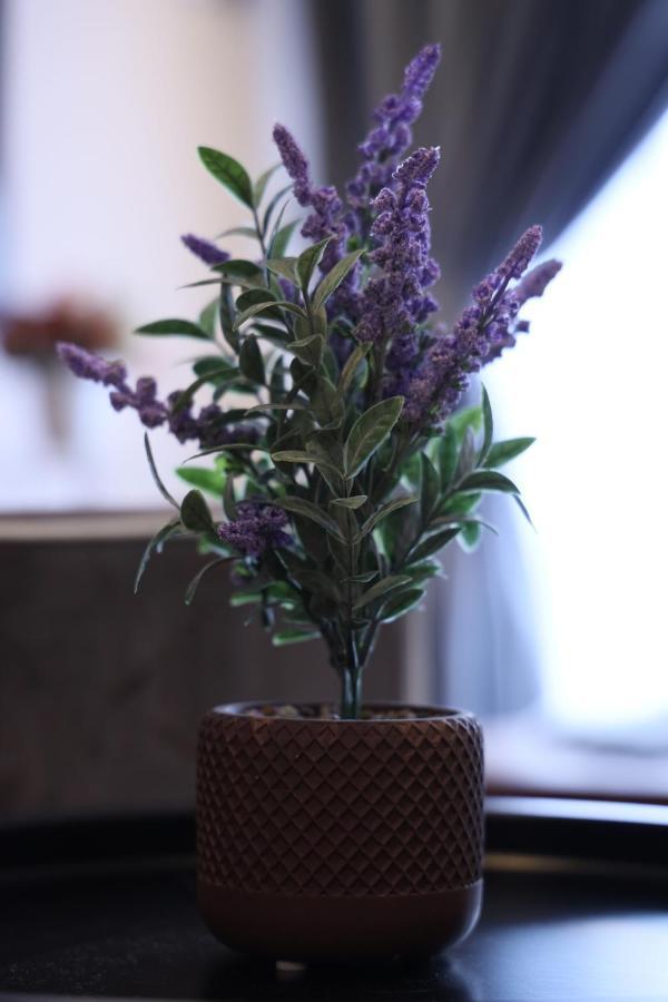 D'Elegant Suite - Emerald Avenue คาเมรอนไฮแลนด์ ภายนอก รูปภาพ